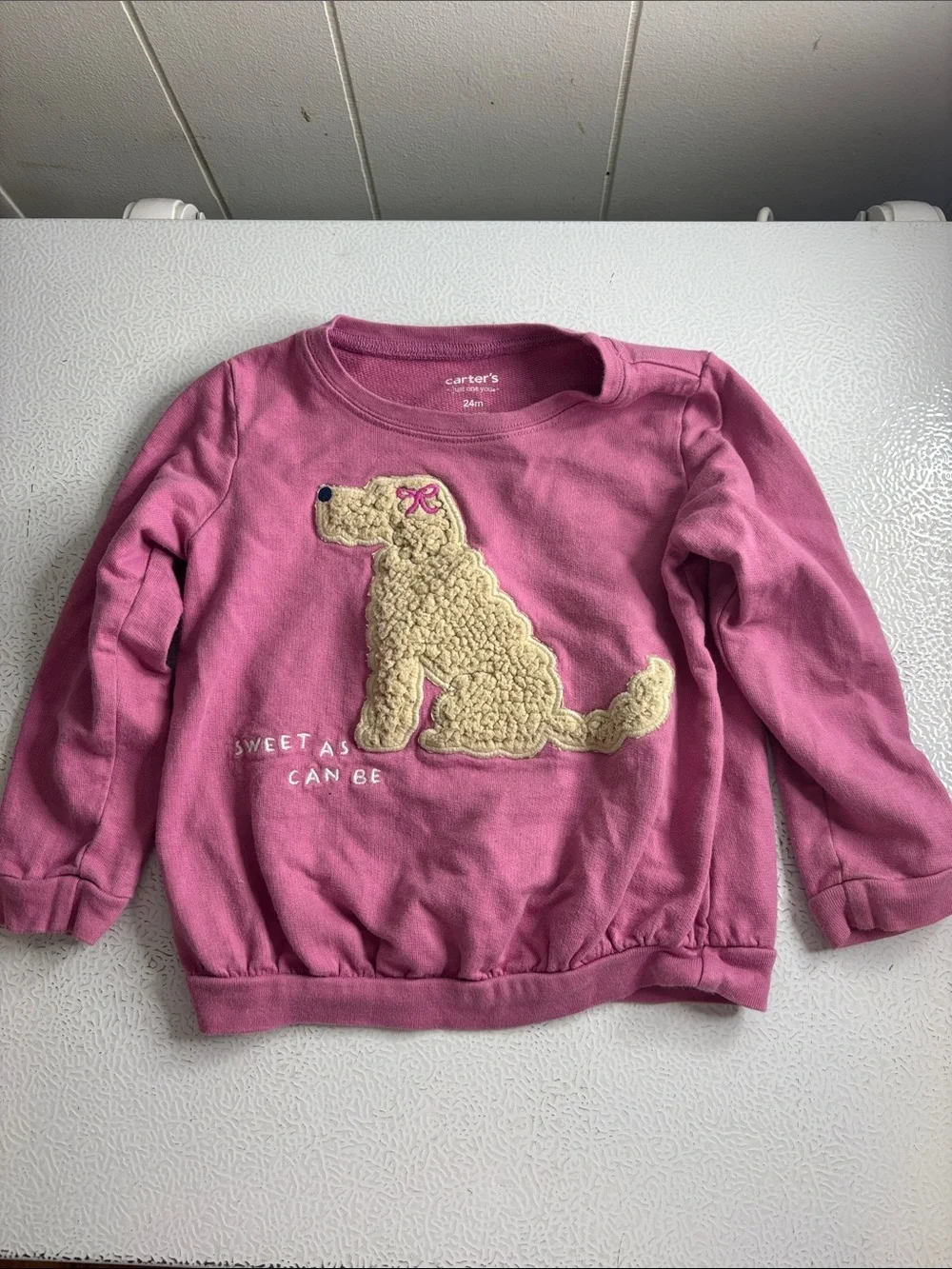 490 - Carter's Pink Sweatshirt with Plush Puppy